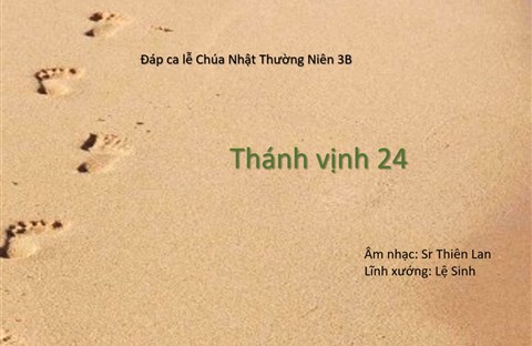 Thánh Ca Phụng Vụ: Thánh Vịnh Đáp ca 24 || CNMV 1C ĐK 1 ; các câu 1,2,3: CNTN 3B (ĐK 2 ), CNTN 26A(ĐK 3), CNMC 1B(ĐK 4) || ST: Nt Thiên Lan || Diễn tấu: Lệ Sinh || Thực hiện: Lm Anthony